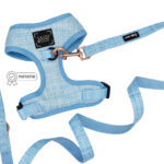 Blumond Dog Bundle