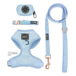Blumond Dog Bundle