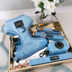Blumond Dog Bundle