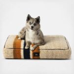 Comfort Cushion Padded Dog Bed