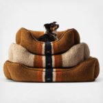 Comfort Cushion Padded Dog Bed