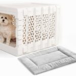 Modern Collapsible Plastic Dog & Pet Crate