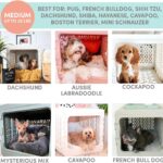 Modern Collapsible Plastic Dog & Pet Crate
