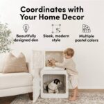 Modern Collapsible Plastic Dog & Pet Crate