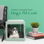 Modern Collapsible Plastic Dog & Pet Crate