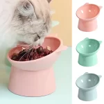 Oscar Tilt Cat Dish