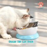 Oscar Tilt Cat Dish