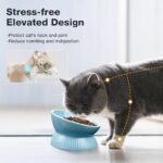 Oscar Tilt Cat Dish