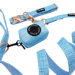 Blumond Dog Bundle