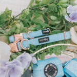 Blumond Dog Collar