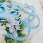 Blumond Dog Leash